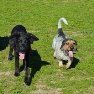 Brea y Bernie Brea y Bernie