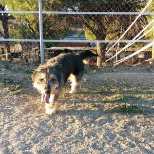 Cenicienta Cenicienta