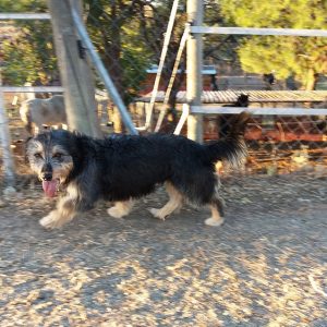 Cenicienta_03 Cenicienta