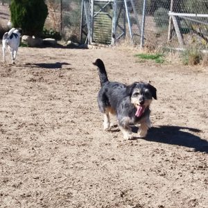 Cenicienta Cenicienta