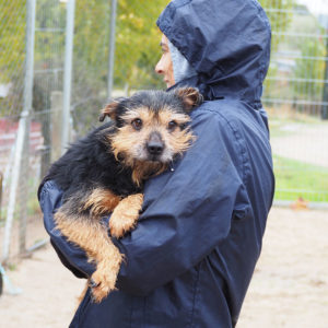 Espinete_03 Espinete