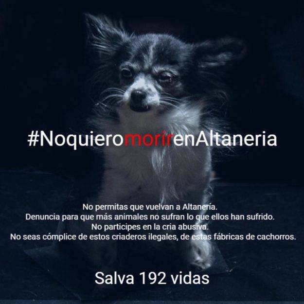 #NoquieromorirenAltaneria #NoquieromorirenAltaneria