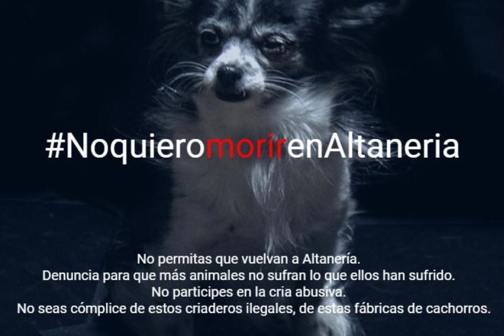 #NoquieromorirenAltaneria