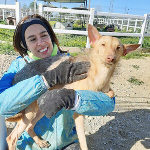 Topo Gigio Topo Gigio