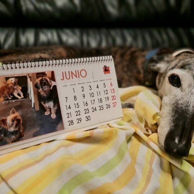 Calendario solidario 2023